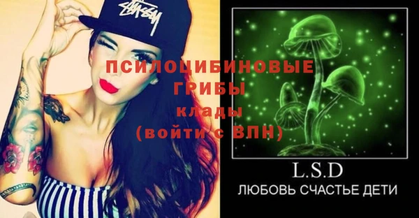 mix Белокуриха