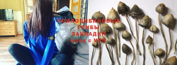 мяу мяу мука Белоозёрский